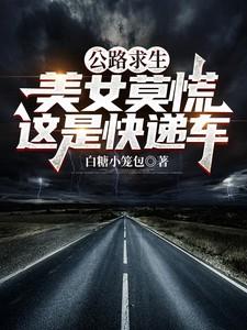 公路求生：美女莫慌，這是快遞車