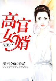 高官女婿