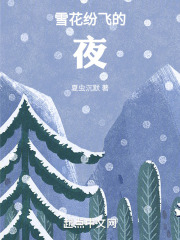 雪花紛飛的夜