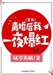 離婚後我一夜爆紅[穿書]