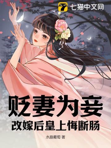 貶妻爲妾，改嫁后皇上悔斷腸