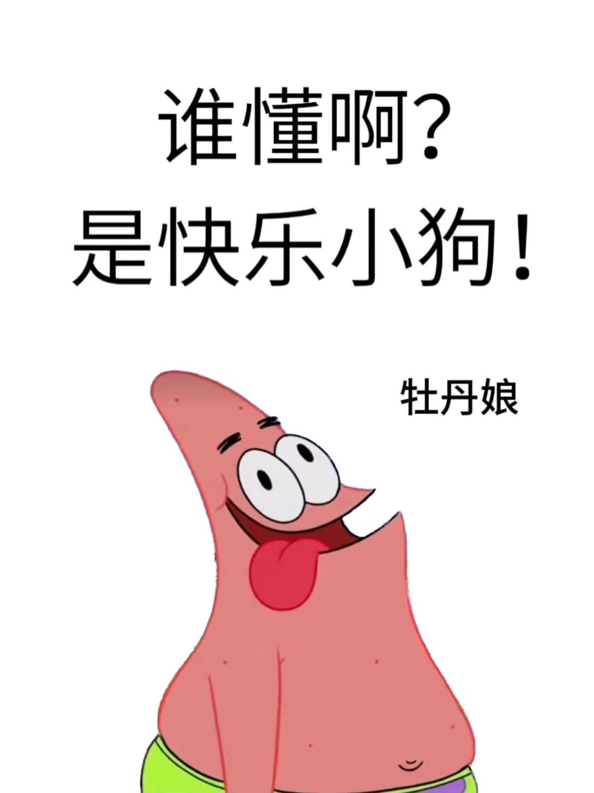 誰懂啊？是快樂小狗！[娛樂圈]