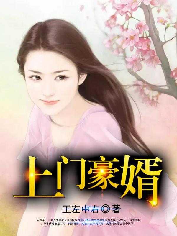 上門豪婿推薦必讀