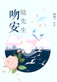 吻安，陆先生