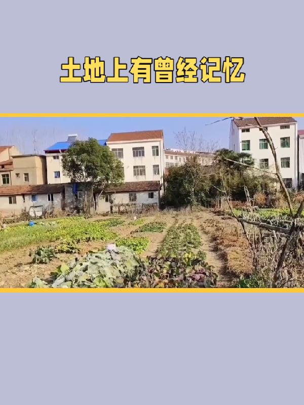 土地上有曾經記憶