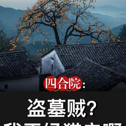 四合院：盗墓贼？我正经猎户啊